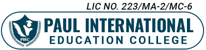 Nanny Institute